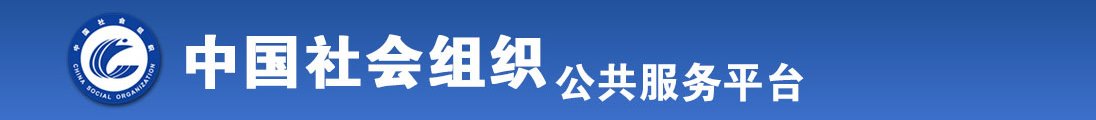 国产浪逼全国社会组织信息查询